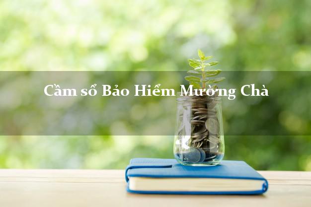 Cầm sổ Bảo Hiểm Mường Chà Điện Biên giá cao Cầm sổ Bảo Hiểm Mường Chà Điện Biên giá cao